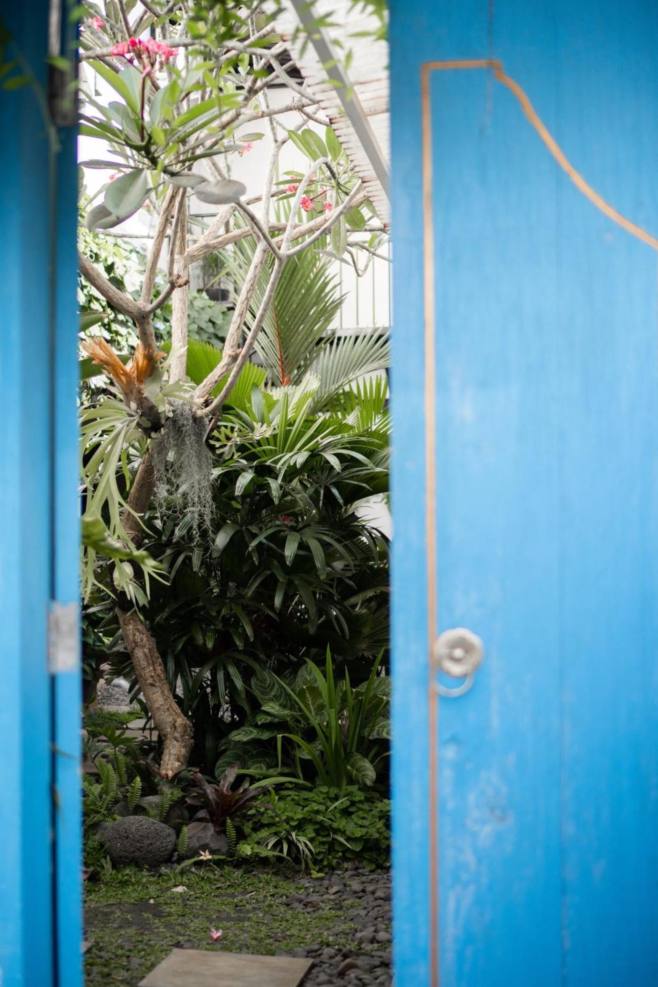 Betah Homestay Banyuwangi Banyuwangi  Extérieur photo